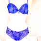 Vibrant Blue Lace and Mesh Lingerie Set